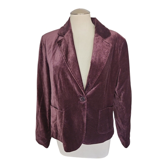 Briggs New York Chocolate Brown Velvet Blazer 12 - Picture 1 of 10